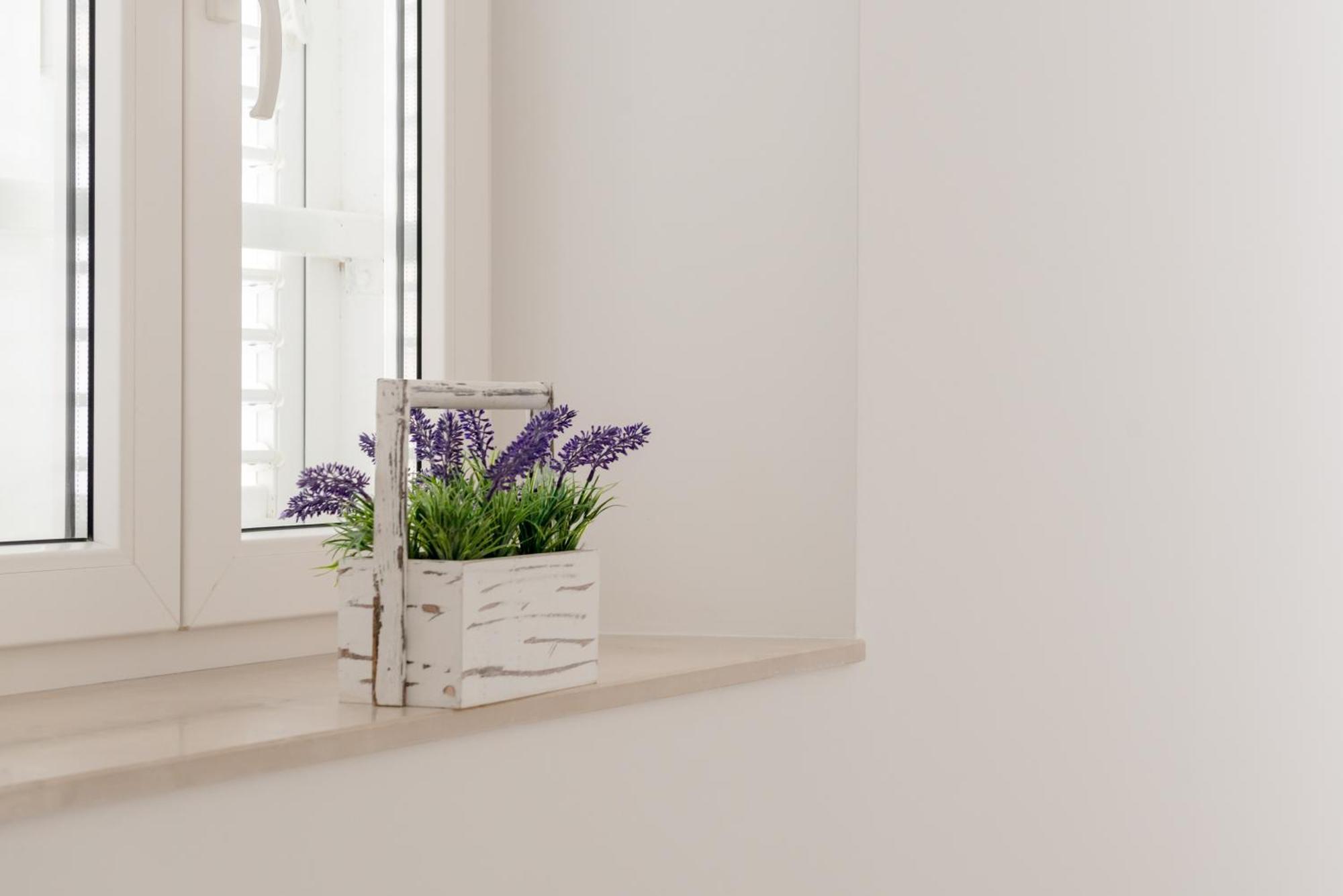 Apartments Villa Tudor 1 Хвар Екстер'єр фото